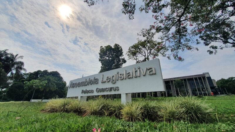 Julho Âmbar: Mês dedicado a dar visibilidade e apoio ao luto parental