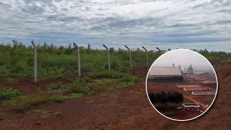 MS alega na Justiça que chineses receberam incentivos para megaindústria, mas abandonaram área