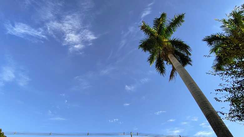 Mesmo com manhãs frias, tempo deve esquentar nesta quinta em MS
