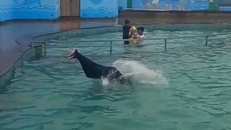 Homem tenta impressionar amigos e morre ao saltar de cabeça em piscina rasa