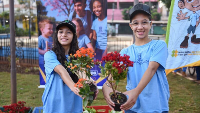 Alunos embelezam a Praça Ary Coelho com 400 mudas produzidas em Rochedinho