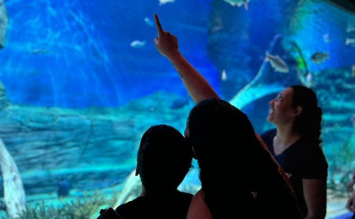 No aniversário de Campo Grande, Bioparque Pantanal funcionará em horário especial