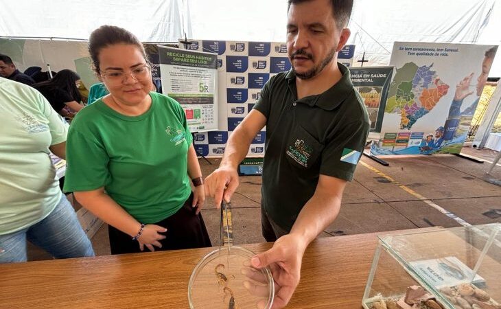 Com período de maior atividade dos escorpiões, SES de MS monitora avanço dos acidentes e reforça atendimento