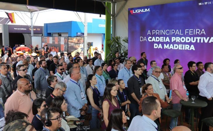 De estratégia a realidade: simplificação e visão de futuro ajudaram MS a consolidar Vale da Celulose