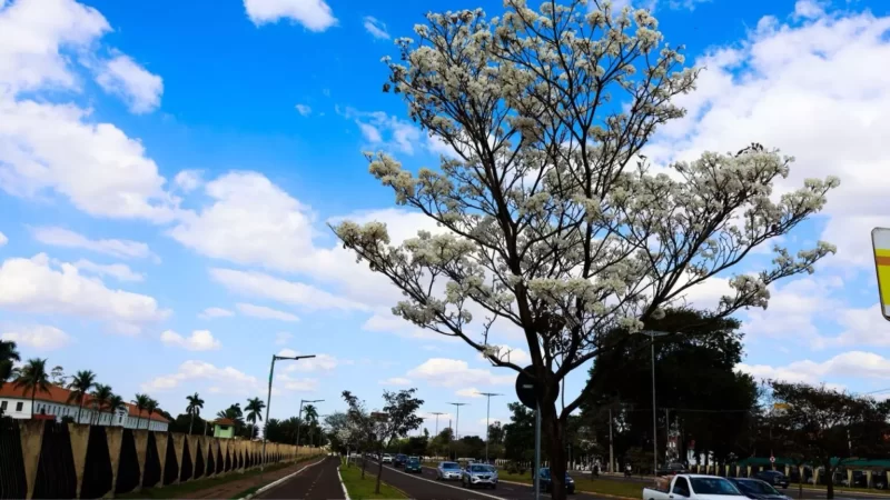 Confira o que abre e o que fecha no aniversário de Campo Grande
