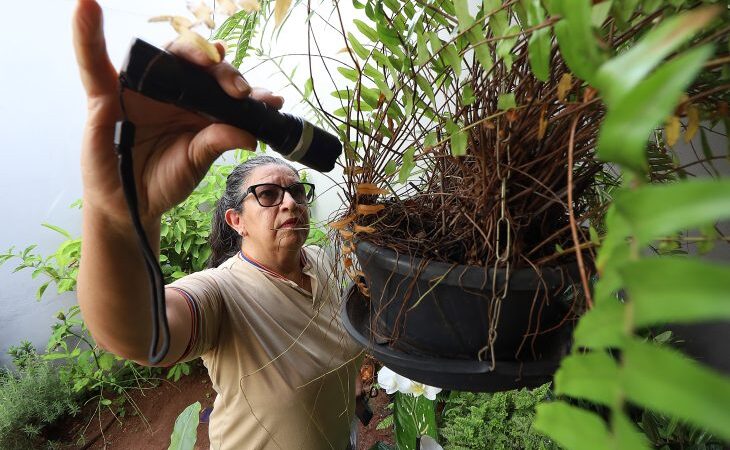 Boletim Epidemiológico: MS registra 7.928 casos confirmados de dengue