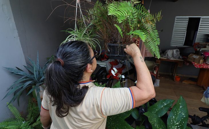 Boletim Epidemiológico: MS registra 7.778 casos confirmados de dengue