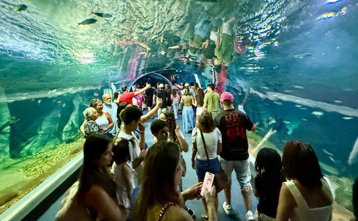 Bioparque Pantanal bate recorde de visitantes e consolida Campo Grande como novo destino turístico nacional