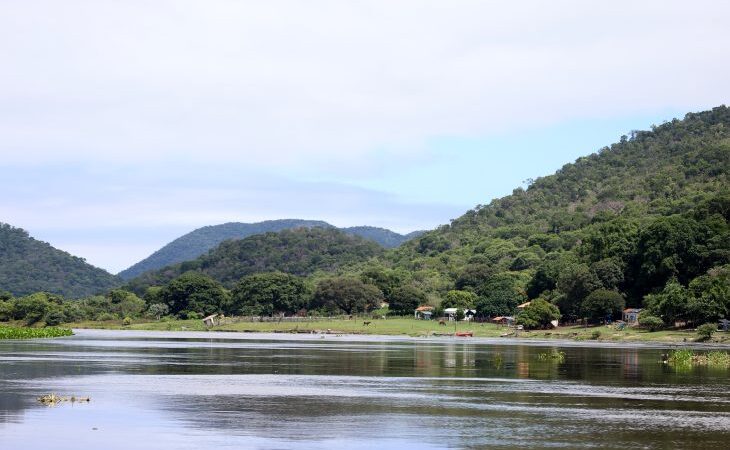 Governo de MS prorroga prazo de inscrições do PSA Conservação até 15 de setembro