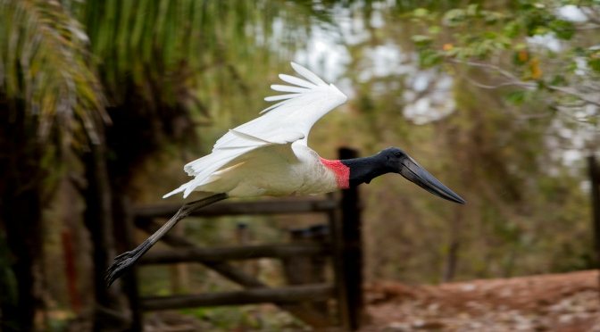 Turismo de MS investe na capacitação de agentes de viagem durante evento em Campinas