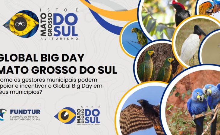 Mato Grosso do Sul se prepara para o Global Big Day com capacitação de gestores municipais