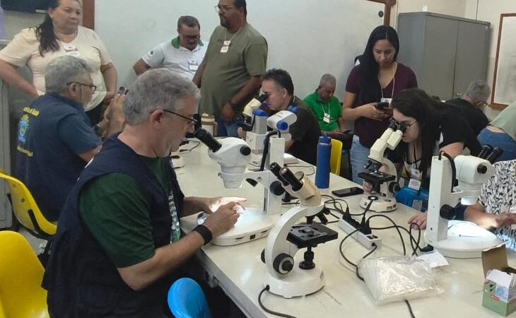 Coleta de vetores, testagem e alinhamento técnico: Saúde de MS antecipa combate à Febre Oropouche