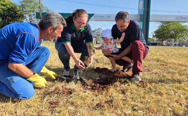 Plantio de ipês celebra 40 anos do Detran de MS e eterniza histórias de gerações