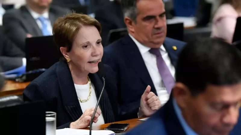 “Risco real às exportações”, alerta Tereza sobre investigações dos EUA contra o Brasil