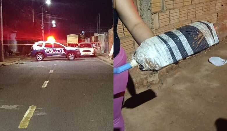 PM é mobilizada por suposta bomba e descobre que era “armadilha” para abelhas