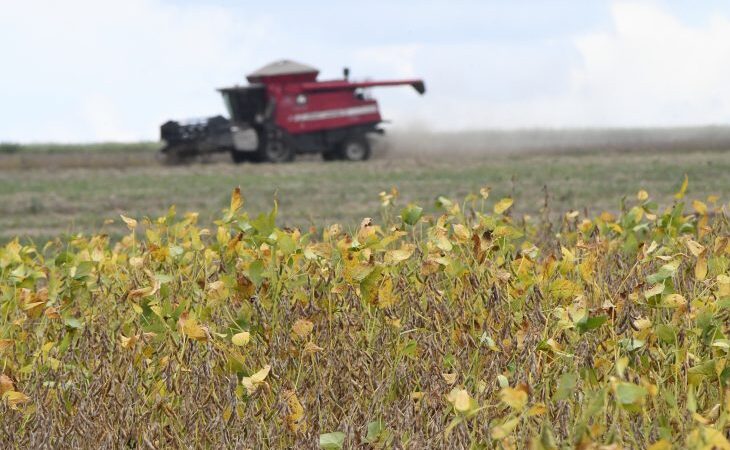 Começa plantio da maior safra de soja de Mato Grosso do Sul, com expectativa de colher 15 milhões de toneladas