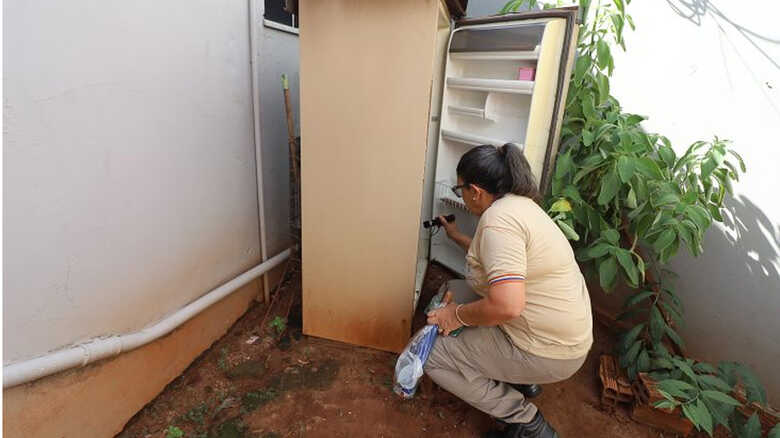 Dengue segue presente em MS e casos confirmados chegam a 8.299