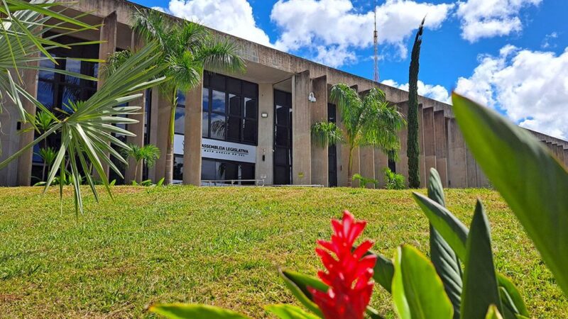 Audiência pública sobre diabetes e Dia do Empreendedorismo feminino são destaques