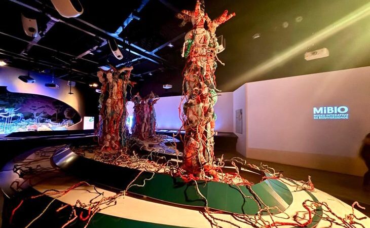 Projeto que une arte, ciência e sustentabilidade ganha espaço no museu do Bioparque Pantanal