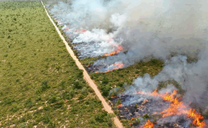 Seminário sobre Manejo Integrado do Fogo antecipa soluções de enfrentamento e prevenção a incêndios florestais