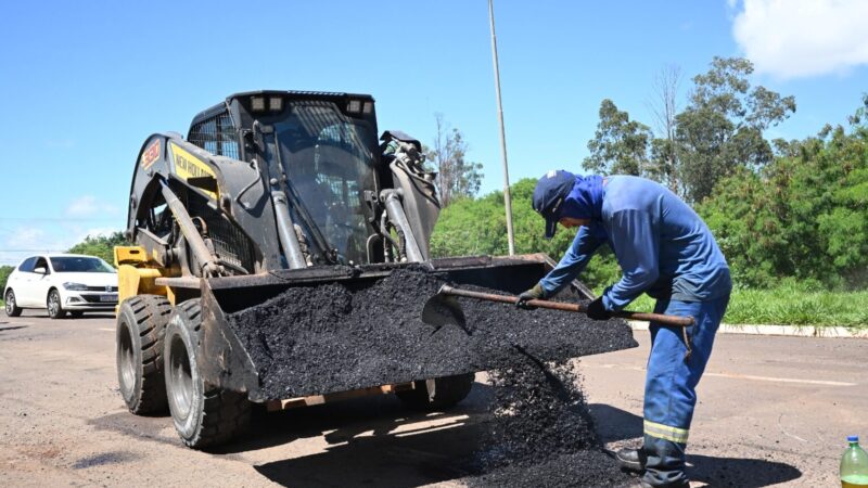 Equipes intensificam tapa-buracos e a remoção de árvores caídas