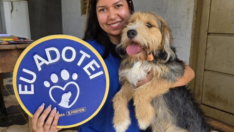 Subea realiza ação de adoção com cães resgatados de maus-tratos