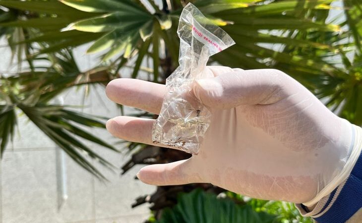 Boletim Epidemiológico: MS registra 107 casos confirmados de dengue