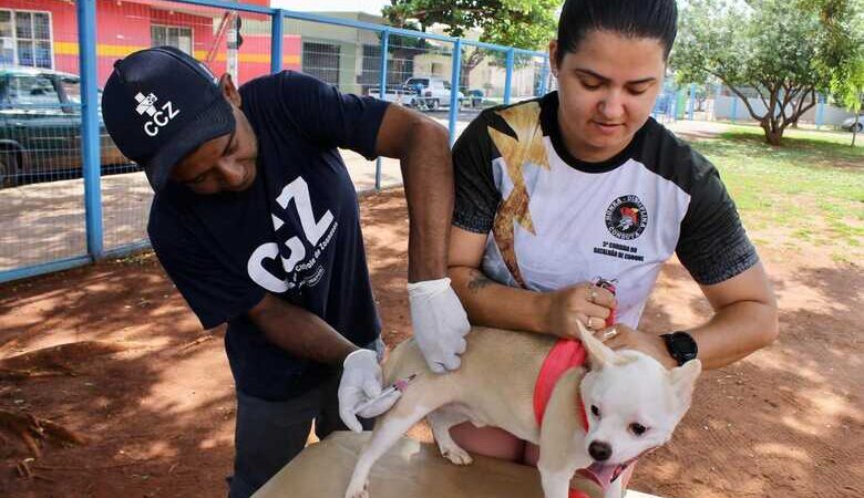 Vacinação antirrábica chega à região do Anhanduizinho nesta sexta-feira (20)