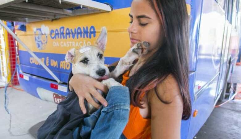 Com 1,7 mil vagas, Caravana da Castração abre agendamentos na próxima semana em Campo Grande