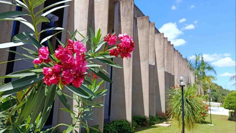 CCJ rejeita emenda de 7,79% e mantém reajuste de servidores estaduais em 3,81%