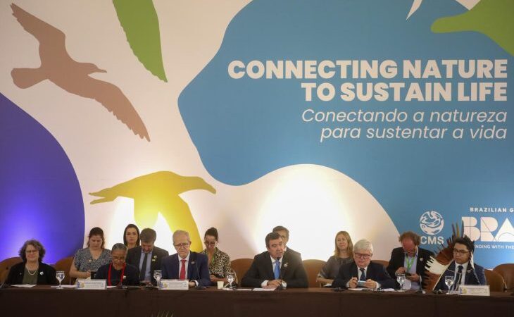 Com atuação para o desenvolvimento e conservação ambiental, MS sedia encontro de líderes globais que antecede COP15