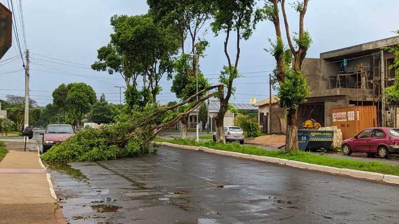 Governo de MS decreta emergência em dois municípios após temporais