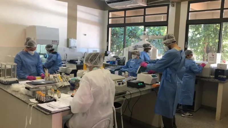 Mato Grosso do Sul cria programa de bolsas de até R$ 8 mil para pesquisa e inovação