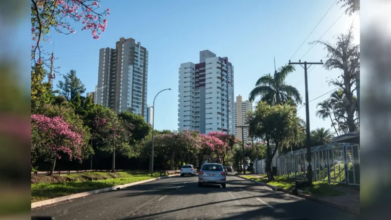 Observatório Econômico para monitoramento de dados será lançado nesta terça-feira