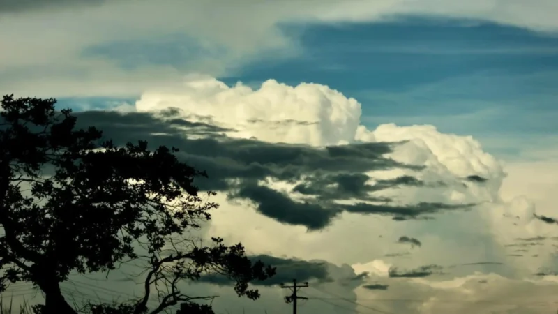 Previsão indica manhã com nevoeiro nesta quinta, mas sol deve aparecer em MS