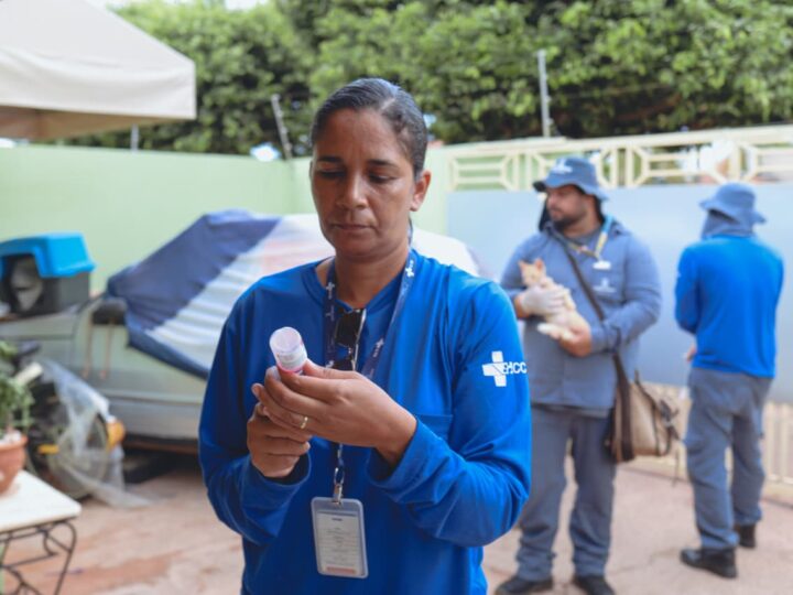 Vacinação antirrábica chega ao Bairro Estrela Dalva
