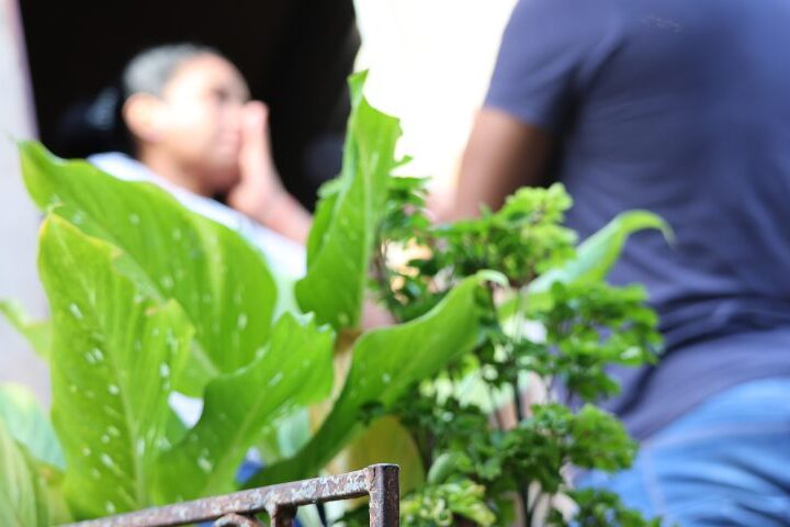 Filhos de vítimas de feminicídio em Mato Grosso do Sul recebem benefícios sociais