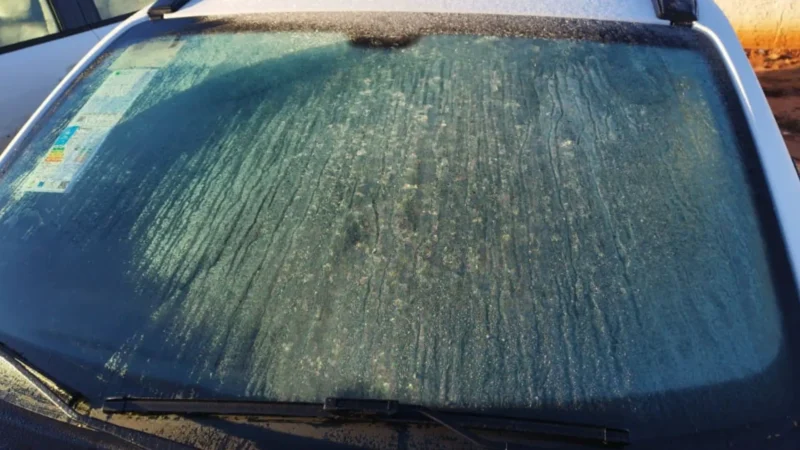 Região sul de MS registra mínima de 0ºC e geada na madrugada desta quinta-feira