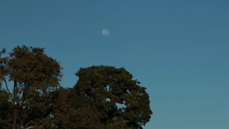 Com clima mais ameno pela manhã, quarta-feira será ensolarada em MS