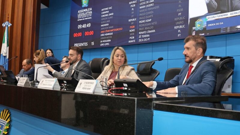 Diretrizes de incentivo à proteção às mães atípicas vai a redação final