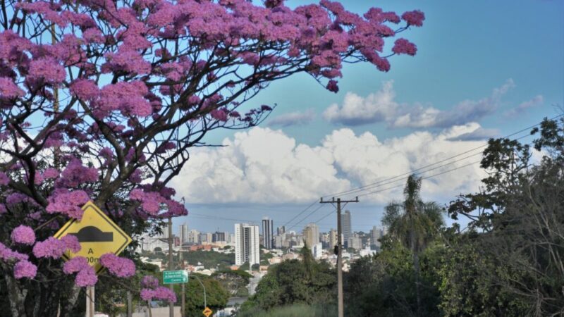 Semana tem avanços em habitação, obras e mobilidade