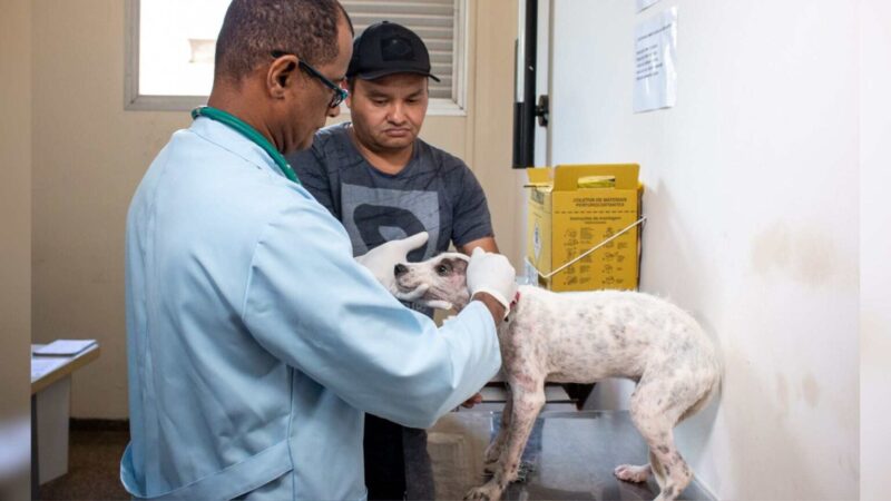 Jardim Carioca terá mutirão de consultas veterinárias e vacinação nesta segunda-feira