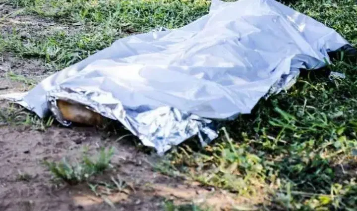 Durante trabalho de roçada, corpo em decomposição é encontrado em Campo Grande