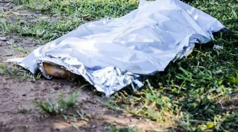 Durante trabalho de roçada, corpo em decomposição é encontrado em Campo Grande