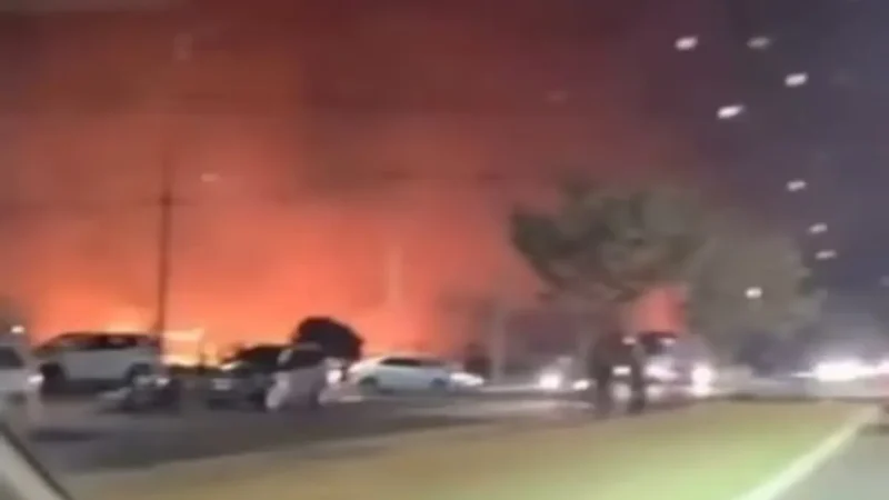 Incêndio de grandes proporções atinge área de vegetação em Chapadão do Sul