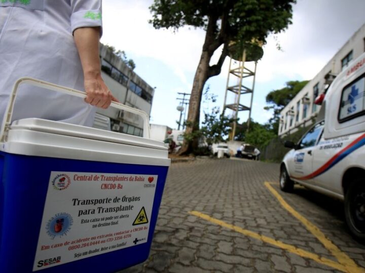 Veja como manifestar intenção de doar órgãos por meio de cartórios