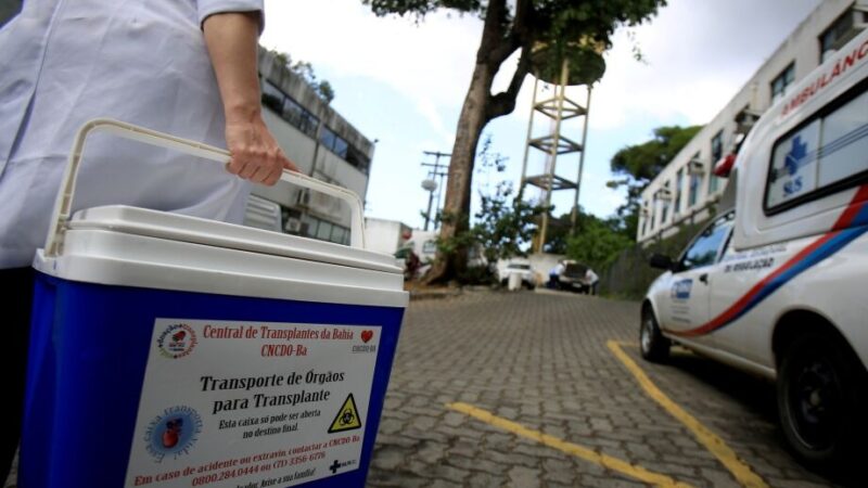 Veja como manifestar intenção de doar órgãos por meio de cartórios