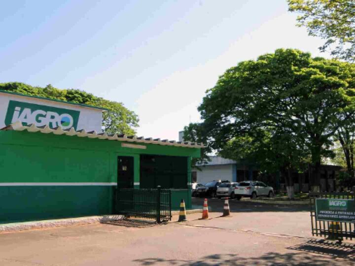 Iagro autoriza cadastro e comercialização de novos defensivos agrícolas em MS