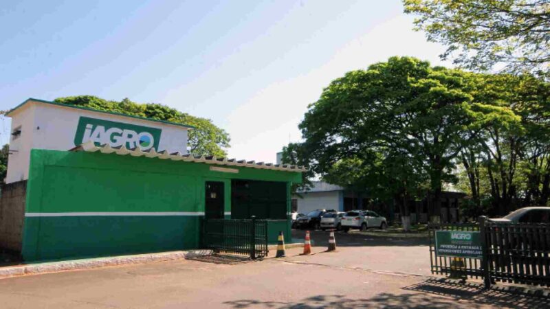 Iagro autoriza cadastro e comercialização de novos defensivos agrícolas em MS