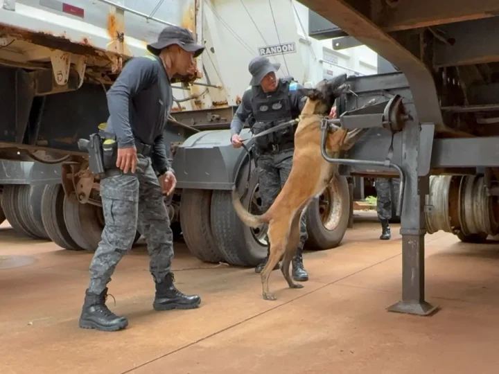 Movimentação de policiais no Macroanel Rodoviário chama a atenção